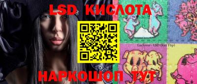 Альфа ПВП Камышлов
