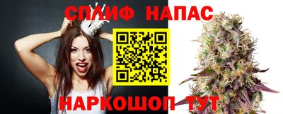 Альфа ПВП Камышлов