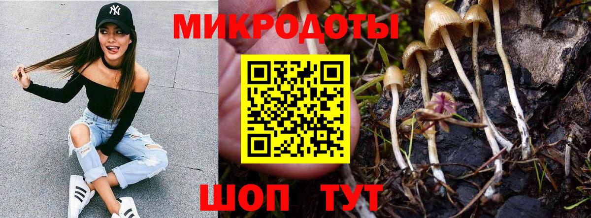Галлюциногенные грибы Magic Shrooms Фурманов